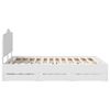 Product Thumbnail Image 9 of 14