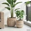Product Thumbnail Image 3 of 9