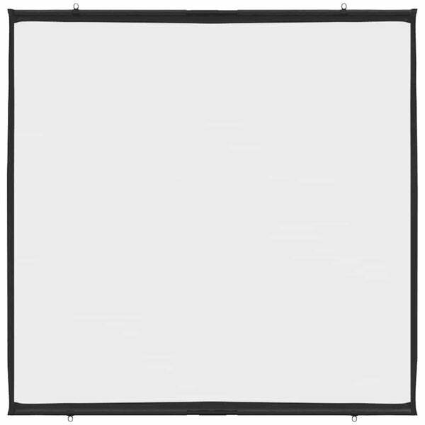 vidaXL Projection Screen Wall-Hanging 67 Inch 1:1