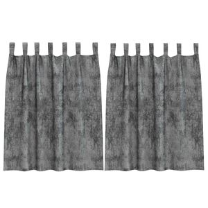 vidaXL Velvet Curtains with Curtains 2 pcs Grey 140 x 140 cm Velvet