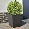 Product Thumbnail Image 2 of 12