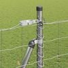 Product Thumbnail Image 5 of 17