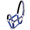 vidaXL Head Collars 2 pcs for Horse Nylon Size Full Blue