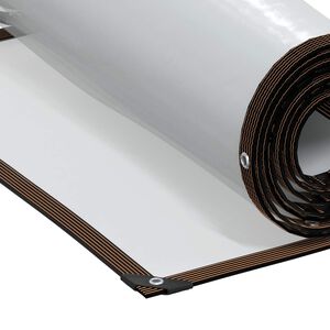 vidaXL Tarpaulin Transparent 2.5 x 1 m PE
