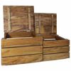 vidaXL Storage Crate Set 2 Pieces Solid Mahogany Wood