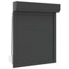 vidaXL Roller Shutter Aluminium 70x100 cm Anthracite