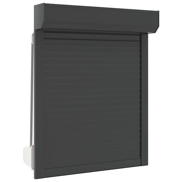 vidaXL Roller Shutter Aluminium 70x100 cm Anthracite
