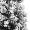 Product Thumbnail Image 5 of 7