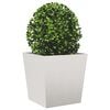 Product Thumbnail Image 4 of 12