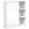 vidaXL Bathroom Mirror Cabinet with LED Light White 45x13x52 cm