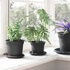 vidaXL Round Flower Pot 6 pcs Black &Oslash; 12.5 x 10 cm Plastic