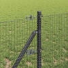 Product Thumbnail Image 4 of 17