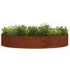 Product Thumbnail Image 3 of 11