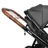 Baninni Twin Stroller Luiz Grey