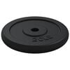 vidaXL Weight Plate 40 kg Cast Iron