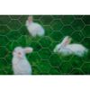 Product Thumbnail Image 3 of 3