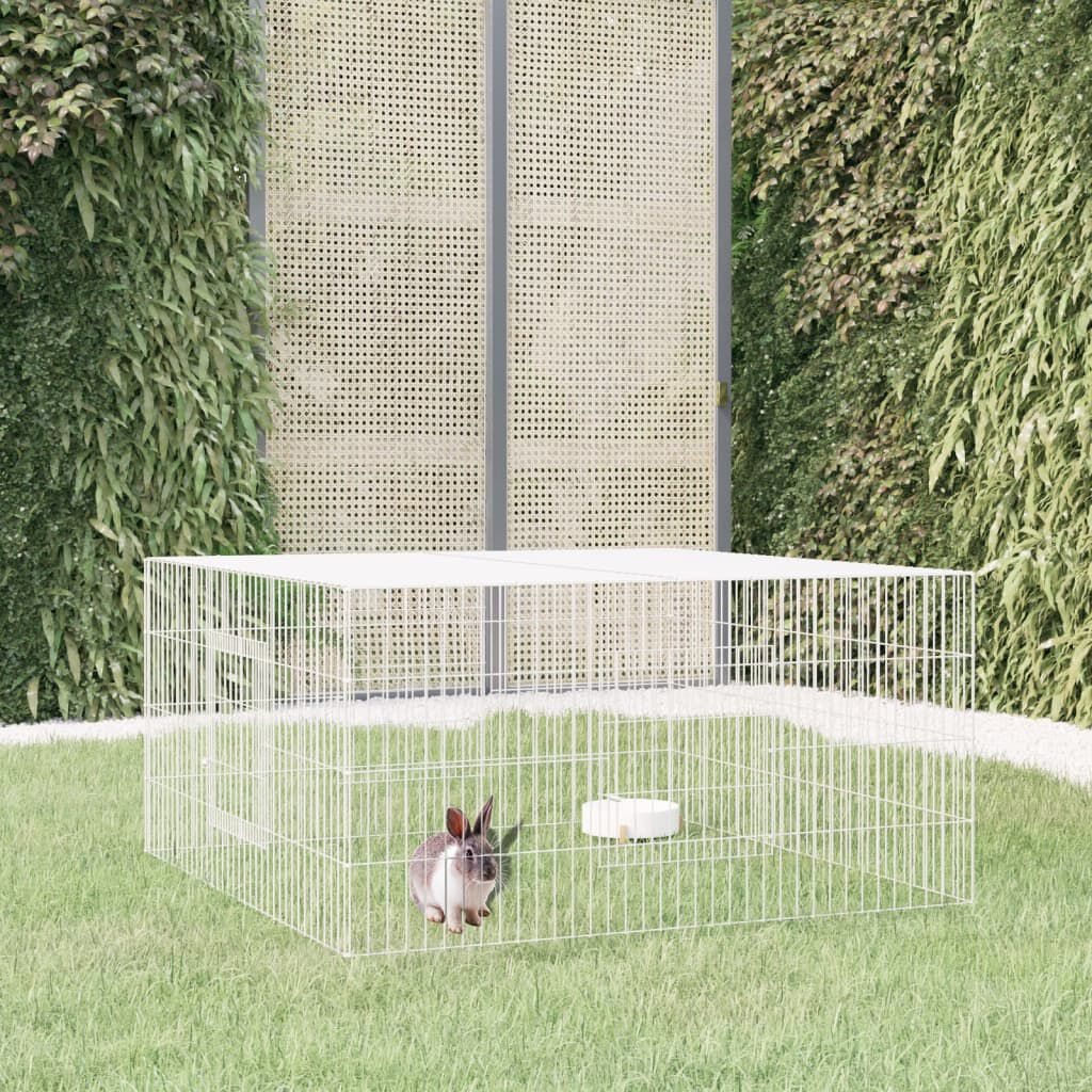 Grreat choice rabbit home hotsell