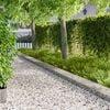 Product Thumbnail Image 2 of 9
