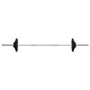 vidaXL Barbell with Plates 90 kg Cast Iron