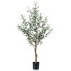 Product Thumbnail Image 2 of 2