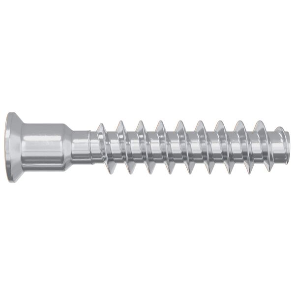 vidaXL Head Cap Screw 2900 pcs Silver Steel