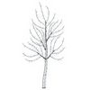 vidaXL LED Wall Christmas Tree 150 cm 140 LEDs Cold White Steel Black