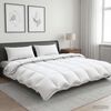Product Thumbnail Image 2 of 12