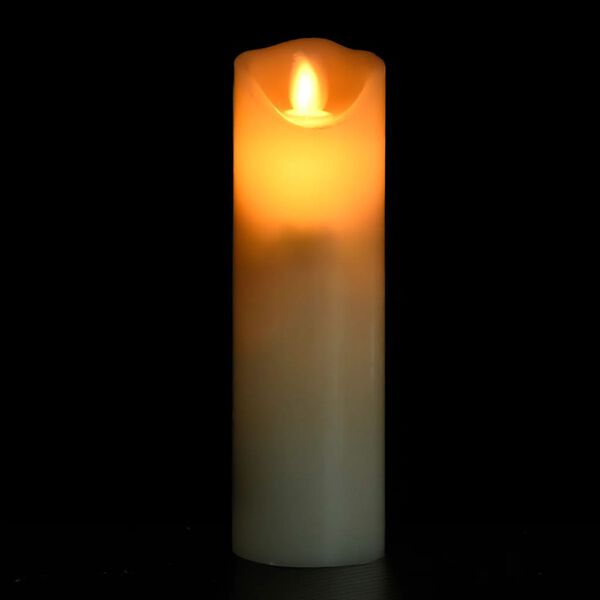 vidaXL 5 Piece Electric LED Candle Set with Remote Control Warm White