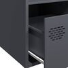 vidaXL Highboard Anthracite 35x39x103.5 cm Steel