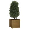 vidaXL Garden Planter Honey Brown 70x70x70 cm Solid Pinewood
