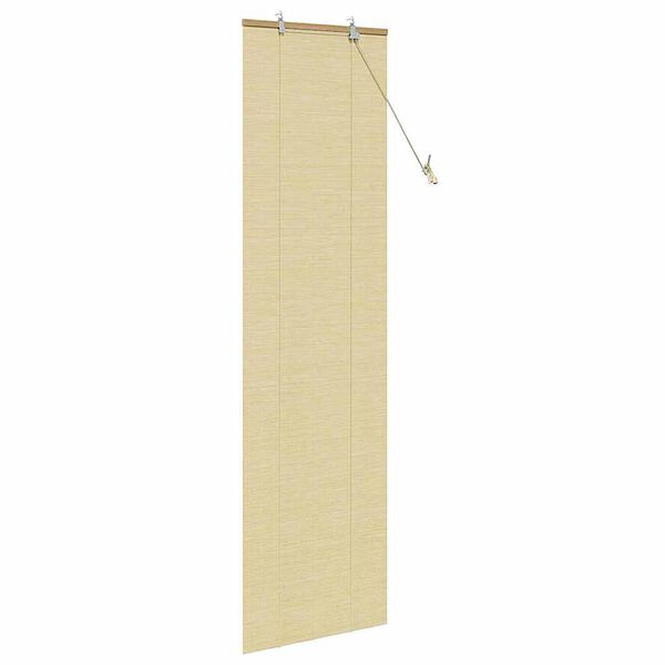 vidaXL Roller Blind with Curtains Manual Nature 60 x 220 cm Bamboo