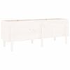 vidaXL Garden Raised Bed White 160x50x57 cm Solid Wood Pine