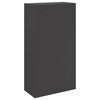 vidaXL Parcel Drop Box with Storage Black 44 x 22 x 82 cm Steel