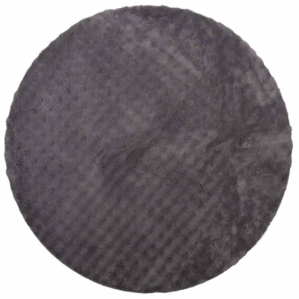 vidaXL Area Rugs Round Anthracite &Oslash; 160 CM