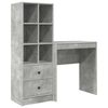 vidaXL Desk with Drawer 2 pcs Concrete Grey