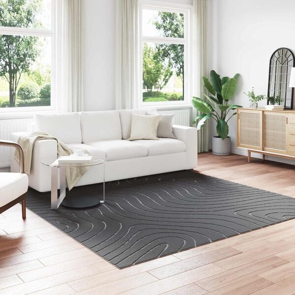 vidaXL Area Rugs Square Anthracite 240 x 240 cm
