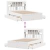 Product Thumbnail Image 12 of 15