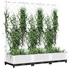 Product Thumbnail Image 3 of 8