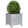 Product Thumbnail Image 4 of 13