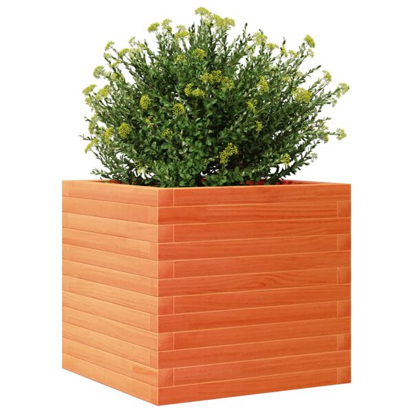 vidaXL Garden Planter Wax Brown 50x50x45.5 cm Solid Wood Pine