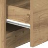 vidaXL Bedside Cabinets 2 pcs with 2 Drawers Artisan Oak 40x36x50 cm