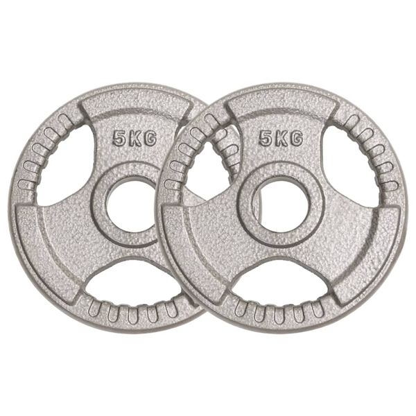 vidaXL Olympic Weight Plates 2 pcs 10 kg Cast Iron