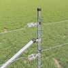 Product Thumbnail Image 5 of 17