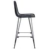 vidaXL Bar Chair 2 pcs Black 44.5 x 53 x 111 cm Rattan and Iron