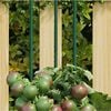 Product Thumbnail Image 2 of 5