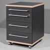 Germania Rolling Filing Cabinet Duo 42x45x60 cm Anthracite