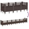 Product Thumbnail Image 7 of 8
