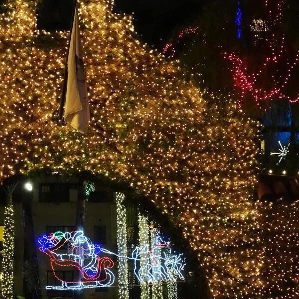 vidaXL Led Net Dark Green