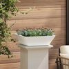 Product Thumbnail Image 4 of 13