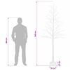 Product Thumbnail Image 7 of 7